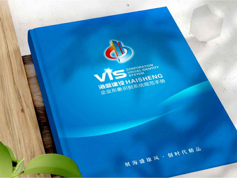 海盛集团——VIS系统形象策划